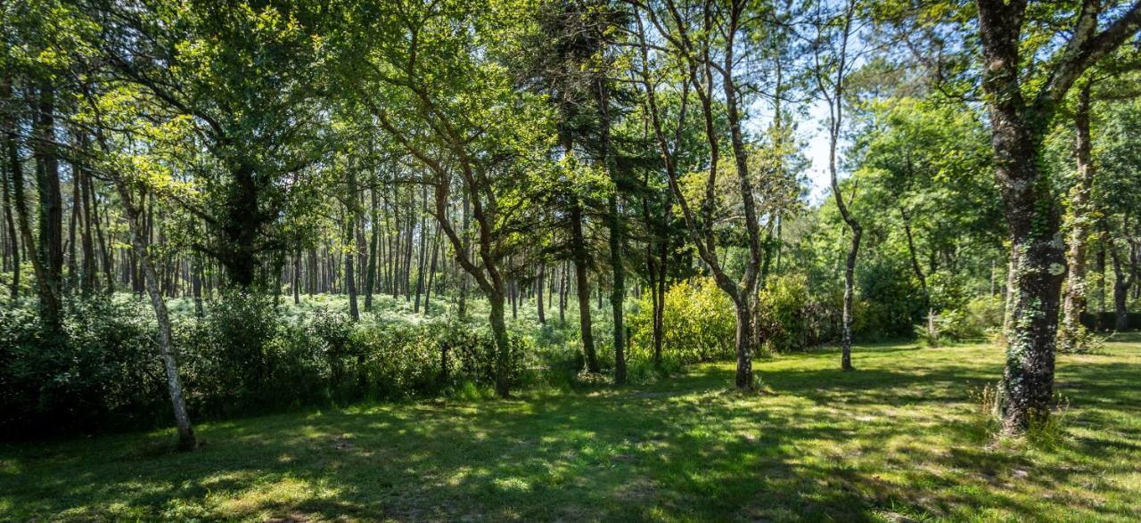 Camping L'Etang D'Ardy *** Saint-Paul-lès-Dax Exteriör bild