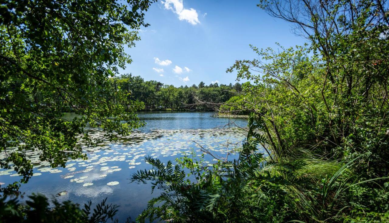 Camping L'Etang D'Ardy *** Saint-Paul-lès-Dax Exteriör bild